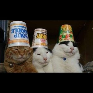 Meet your Posher, Jack